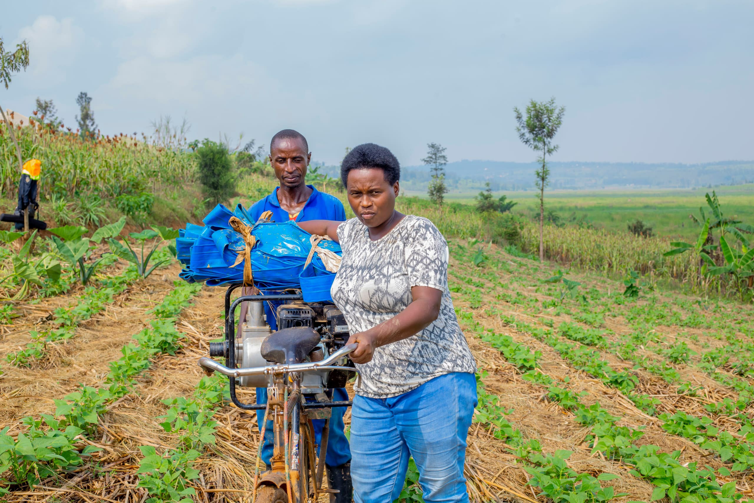 Farming